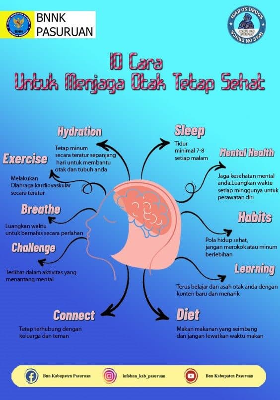 10 Cara Untuk Menjaga Otak Tetap Sehat 10 Cara Untuk Menjaga Otak Tetap Sehat